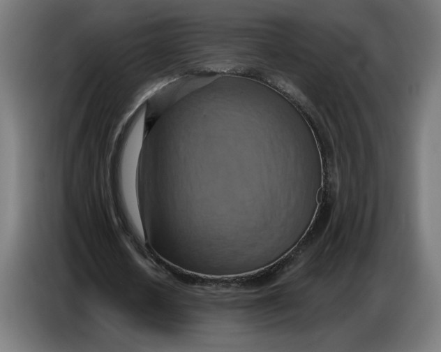 X0000086750626200705041428