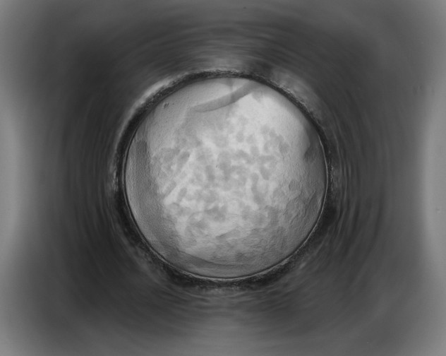 X0000086750628200705041428