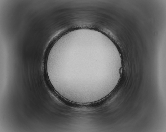 X0000086750629200705041428