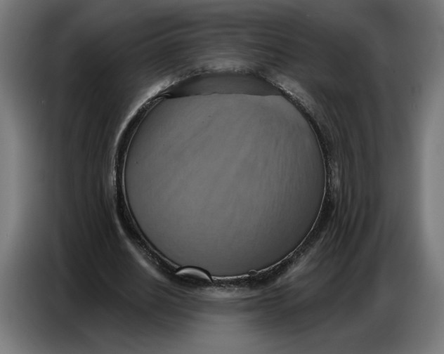 X0000086750630200705041428