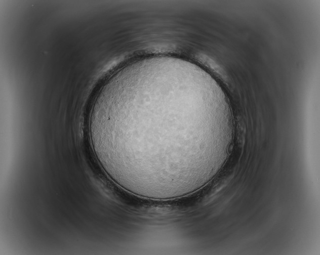 X0000086750631200705041428