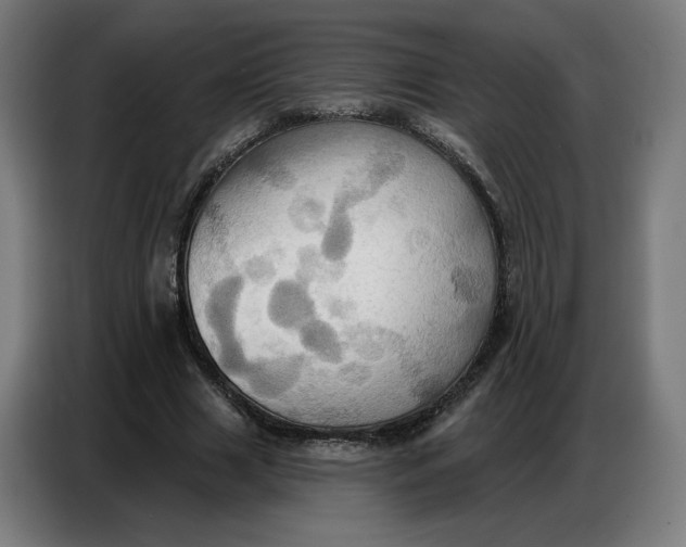 X0000086750633200705041428