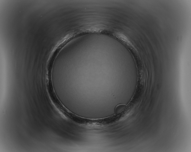 X0000086750634200705041428