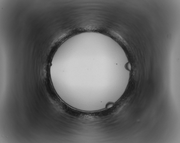 X0000086750635200705041428