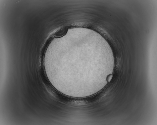 X0000086750636200705041428