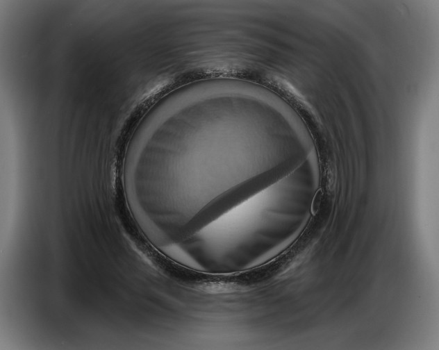 X0000086750637200705041428