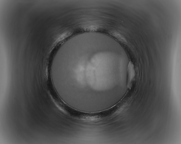 X0000086750638200705041428