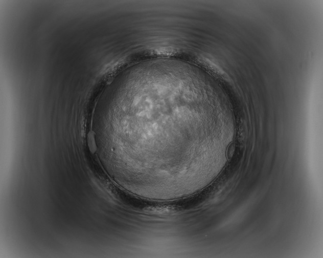 X0000086750639200705041428