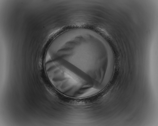 X0000086750640200705041428