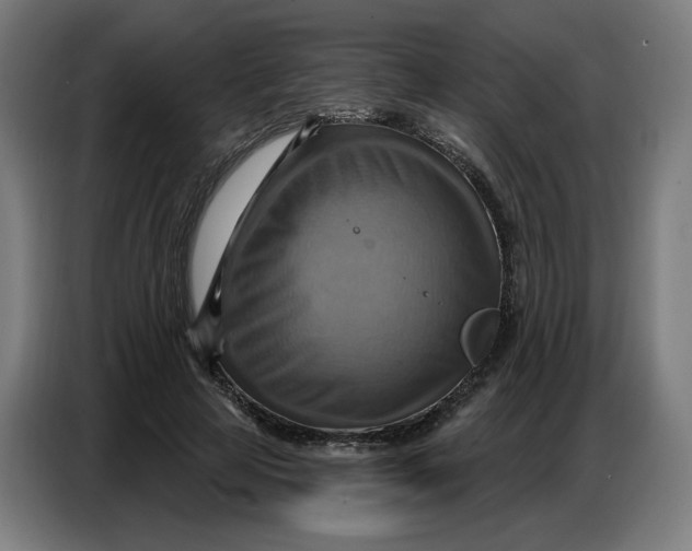 X0000086750641200705041428