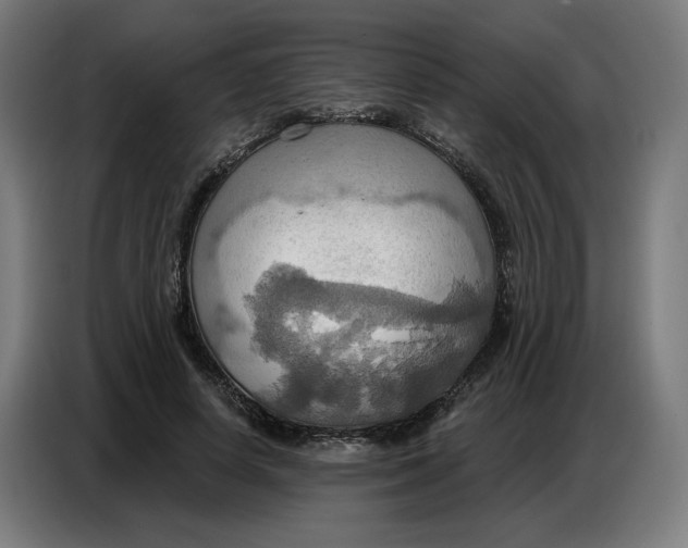 X0000086750642200705041428