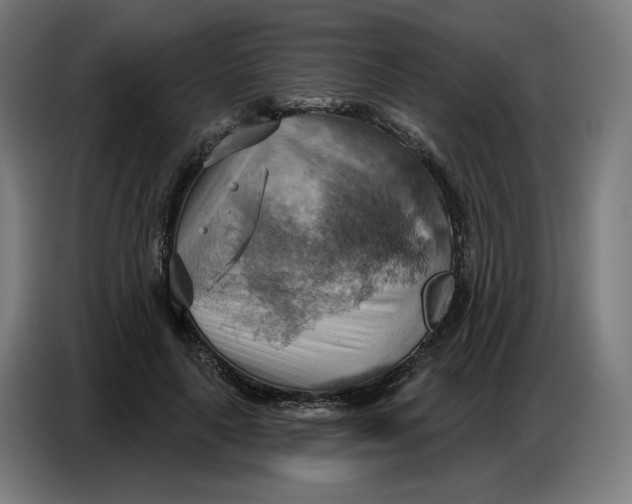 X0000086750643200705041428