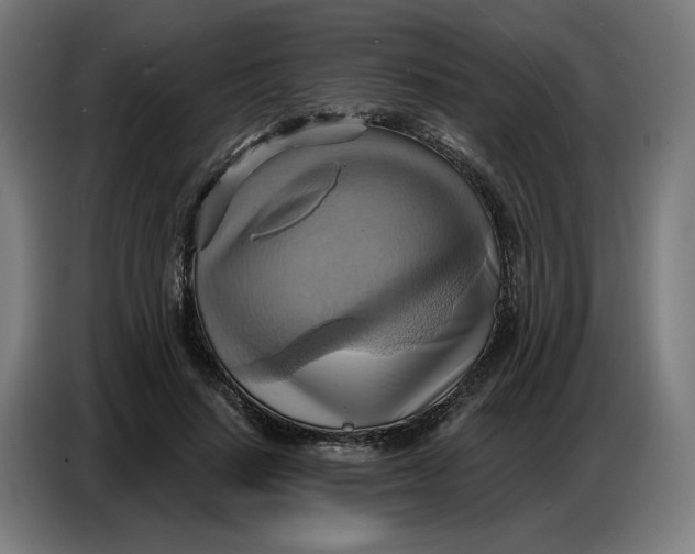 X0000086750644200705041428