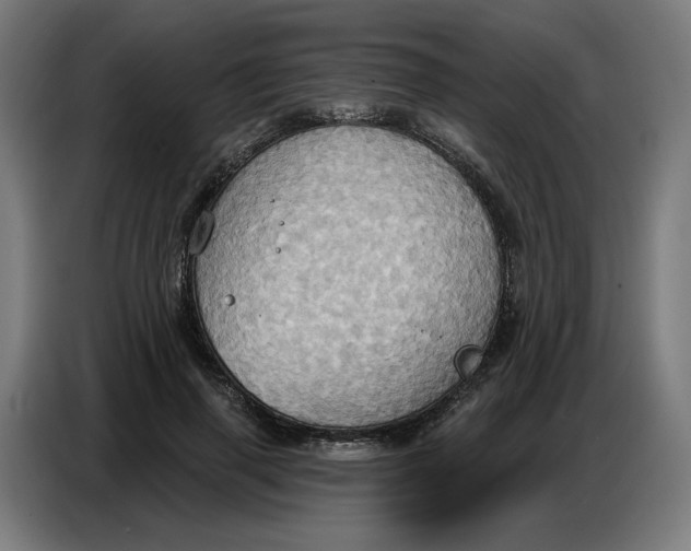 X0000086750645200705041428