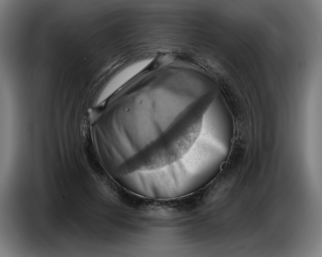 X0000086750648200705041428