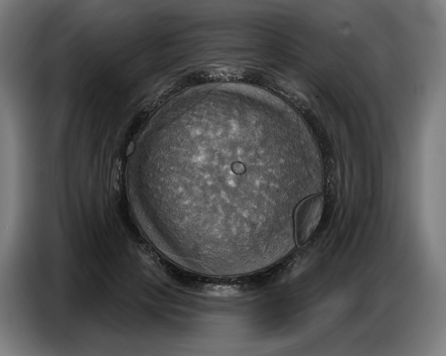 X0000086750649200705041428