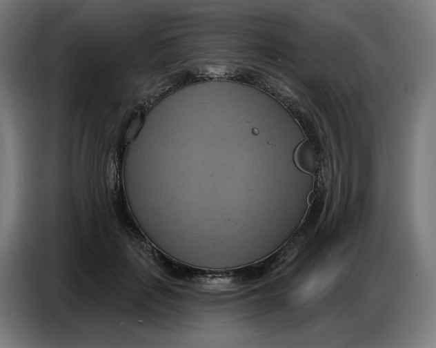 X0000086750651200705041428