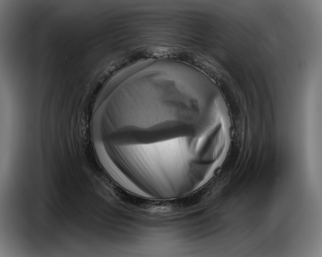 X0000086750653200705041428