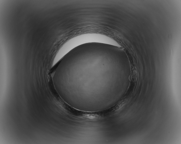 X0000086750654200705041428