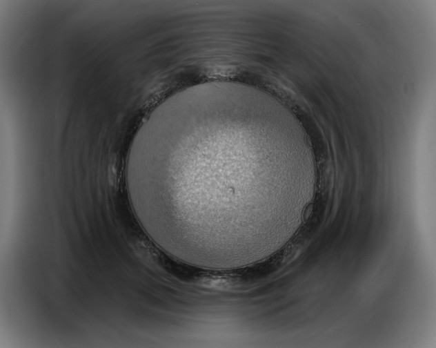 X0000086750655200705041428