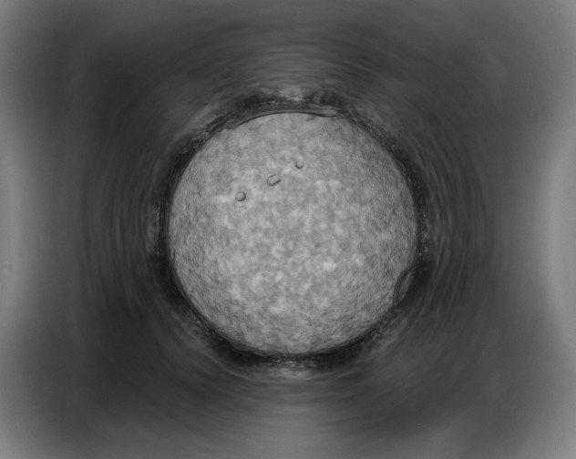 X0000086750656200705041428