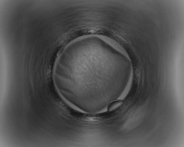 X0000086750657200705041428