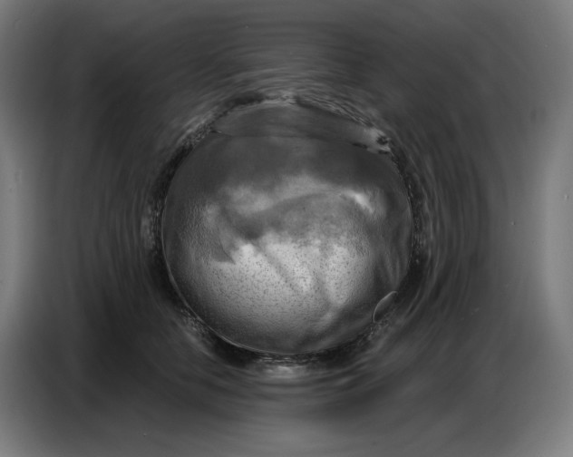 X0000086750658200705041428