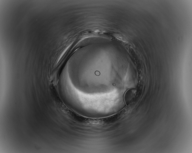 X0000086750659200705041428