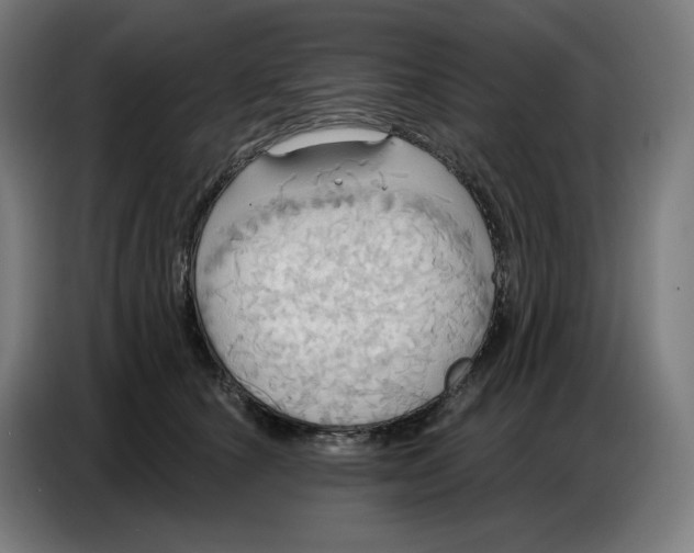 X0000086750660200705041428