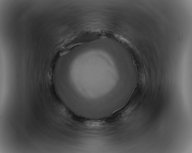 X0000086750661200705041428