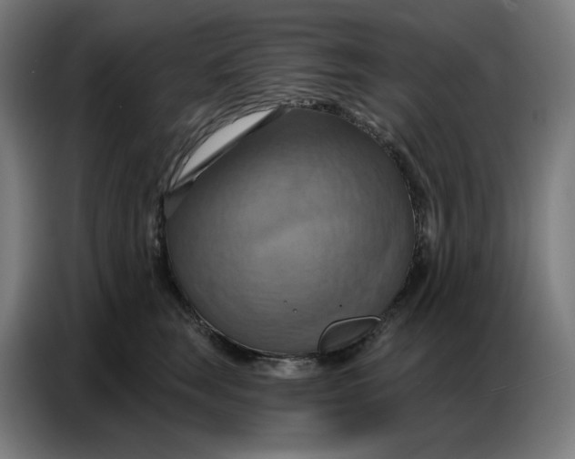 X0000086750663200705041428