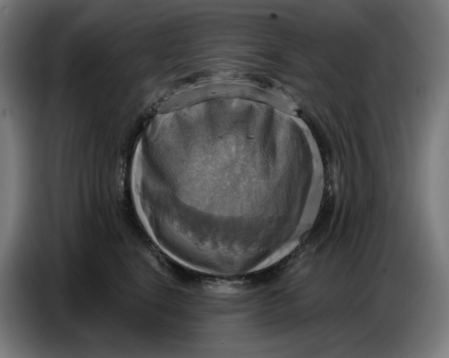 X0000086750664200705041428