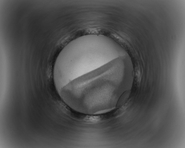 X0000086750665200705041428