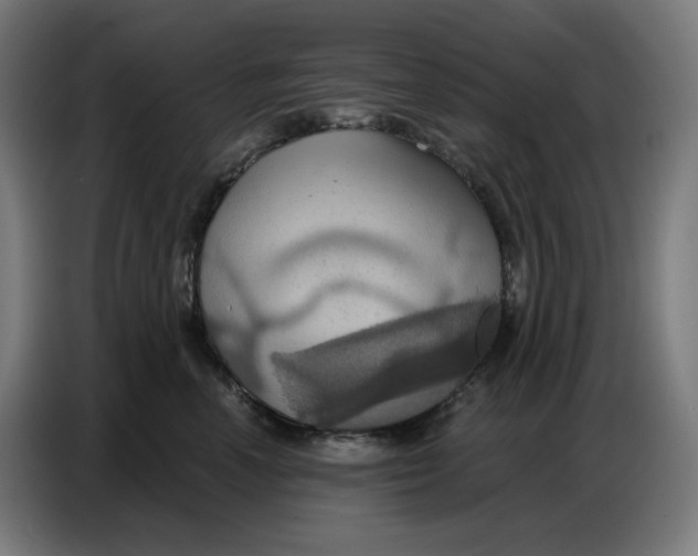 X0000086750666200705041428