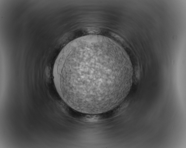 X0000086750667200705041428