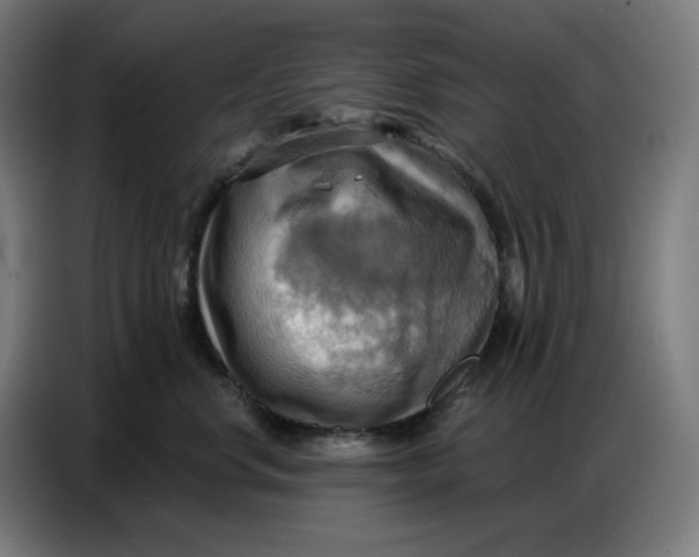 X0000086750668200705041428