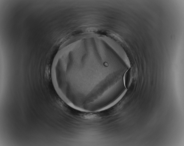 X0000086750669200705041428