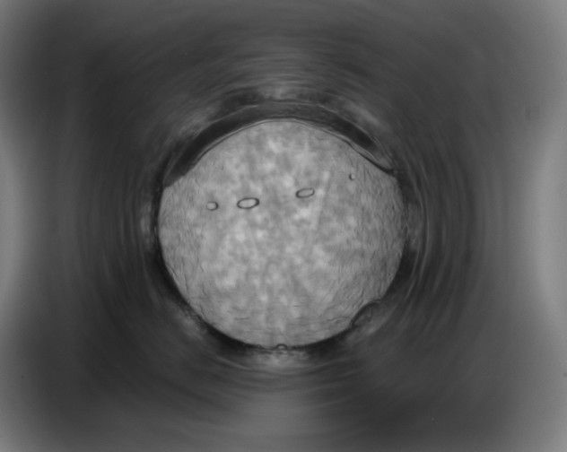 X0000086750670200705041428