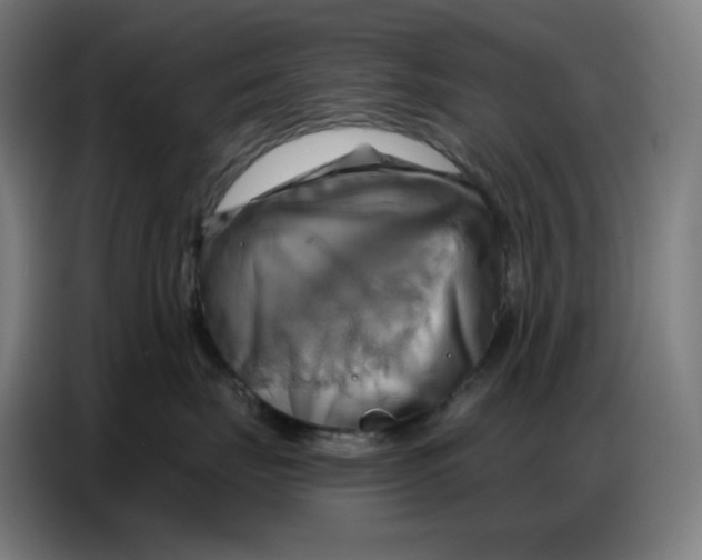 X0000086750671200705041428