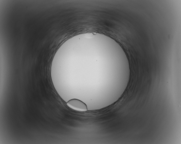 X0000086750672200705041428