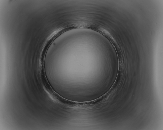 X0000086750674200705041428