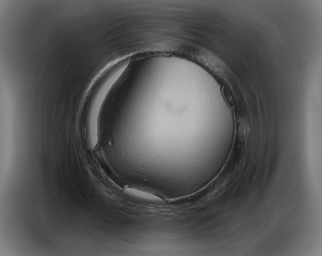 X0000086750676200705041428