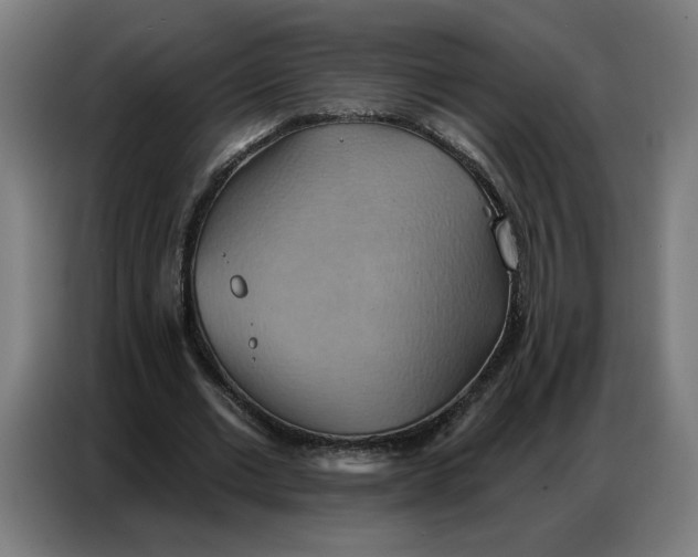 X0000086750677200705041428