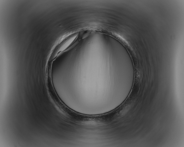 X0000086750678200705041428