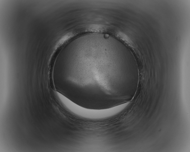 X0000086750679200705041428