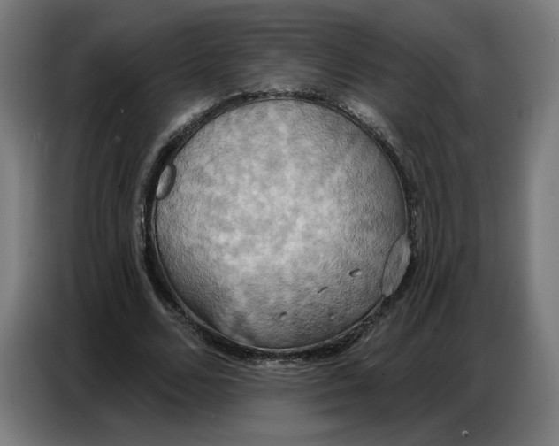 X0000086750680200705041428