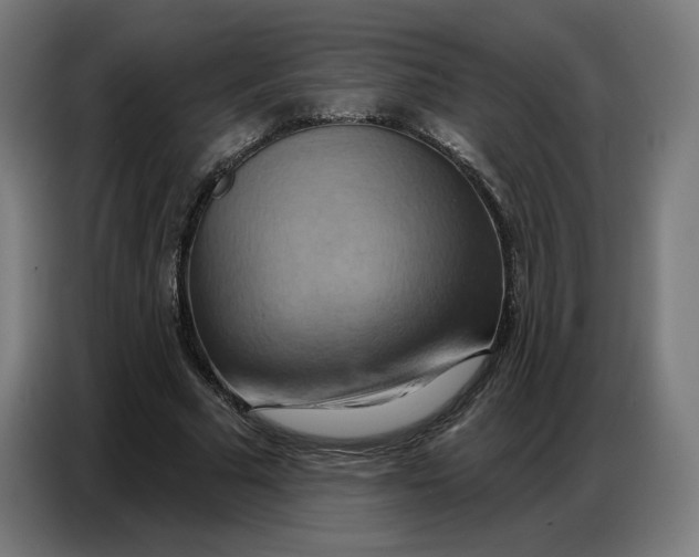 X0000086750681200705041428