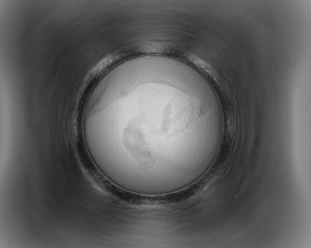 X0000086750682200705041428