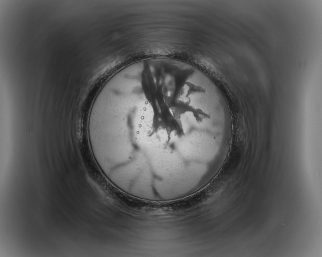 X0000086750683200705041428