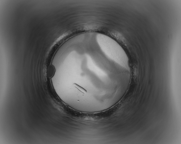 X0000086750684200705041428